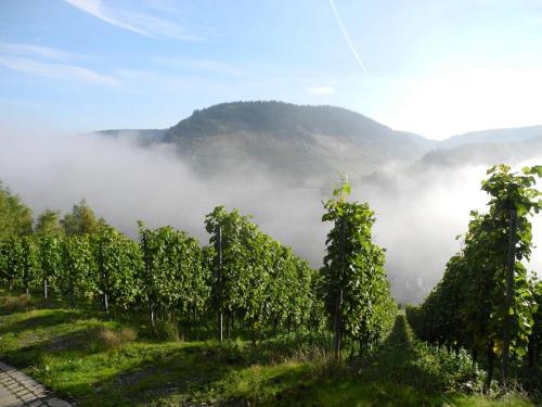 Altes-winzerhaus