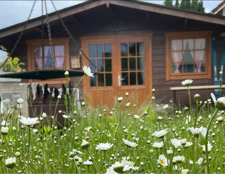 Ferienhaus Jutta Am Bodensee