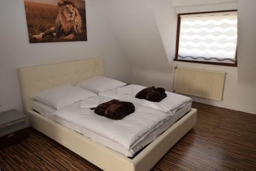 Apartment Gablenberg I