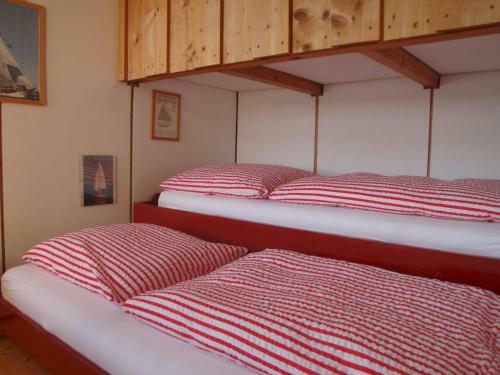 Adlerhorst �ber Dem Bodensee