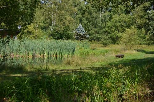 Hostal Ferienparadies M�hlenbach