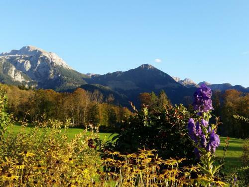 Hostal G�stehaus Moderegglehen