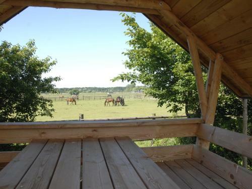 Apartamento Ferienwohnung Auf Einem Reiterhof