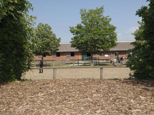 Apartamento Ferienwohnung Auf Einem Reiterhof