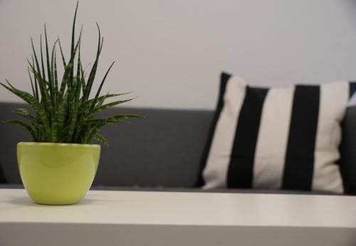 Apartment Seven