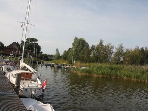 Gelb Muschelsucher