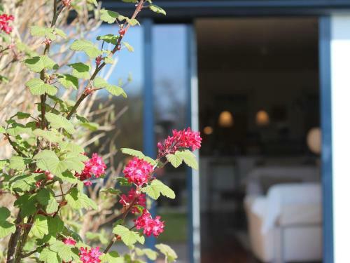 Apartamento Im Ostseebad Nienhagen