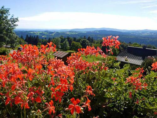 Hostal Pension Draxlerhof