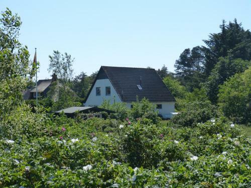 Apartamento Haus Sandh�gel 5 Sandh�gel 5 -dg-