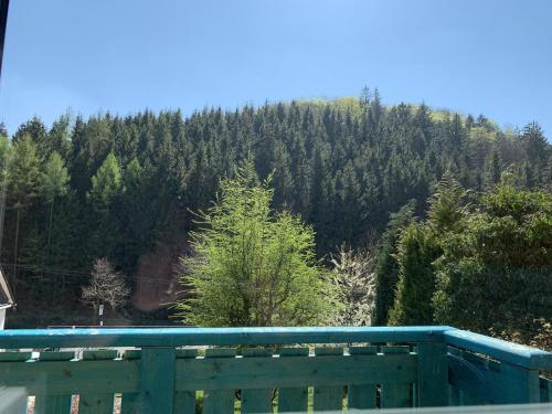 Im Sauerland 1