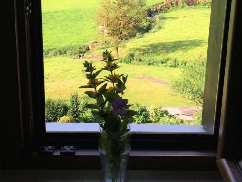 Apartamento Waldbauernhof