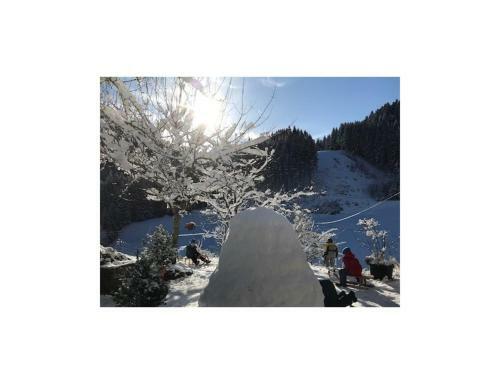 Apartamento Waldbauernhof