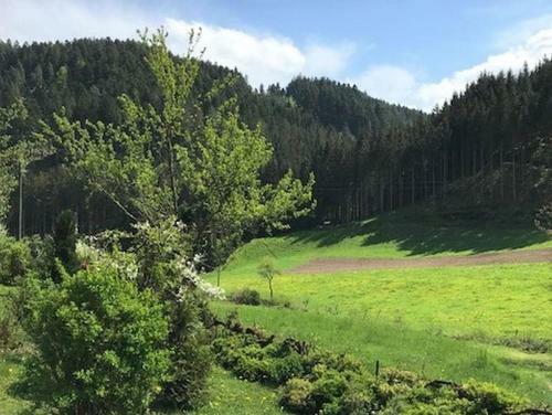 Apartamento Waldbauernhof