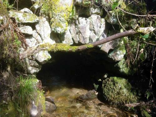 Apartamento Waldbauernhof