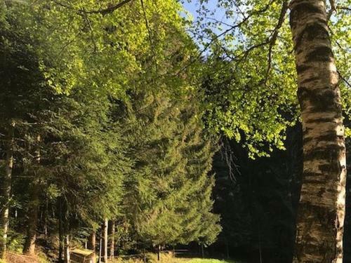 Apartamento Waldbauernhof