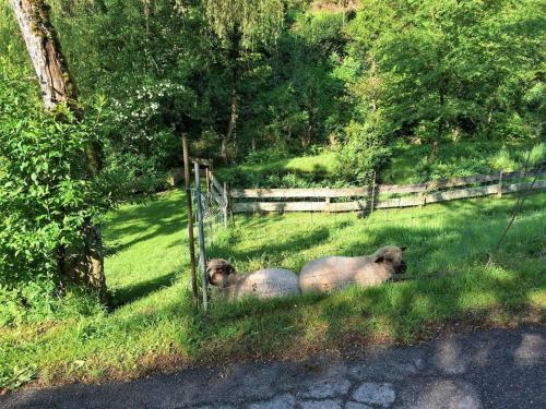 Apartamento Waldbauernhof