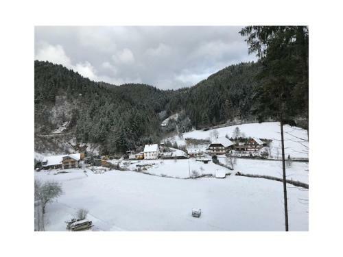 Apartamento Waldbauernhof