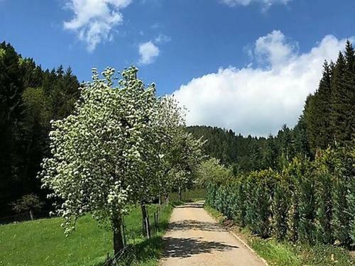 Apartamento Waldbauernhof