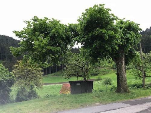 Apartamento Waldbauernhof