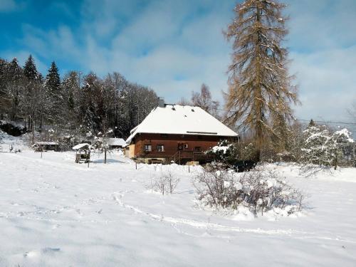 Ferienwohnung Hinterzarten 170s