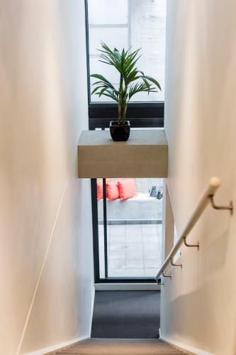 Complete Host Aqualuna Apartments