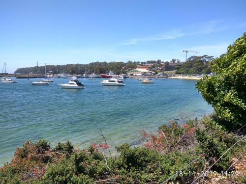 Breeze In Mollymook Beach