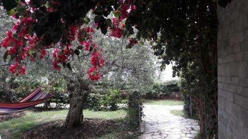 Hotel Olives Residence