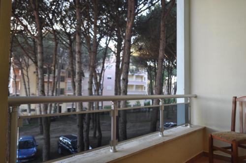 Pine View Apartment