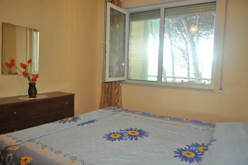 Pine View Apartment