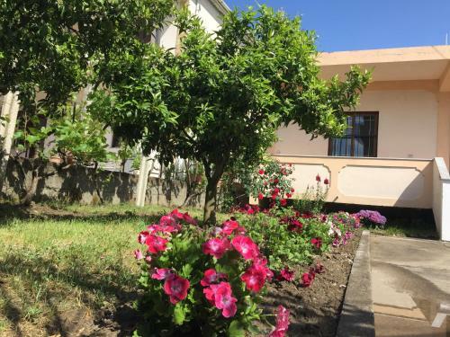 Villa Baka?s House