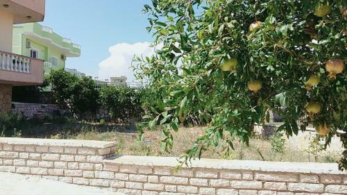 Ardian Apartments