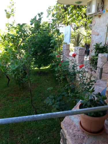 Apartamento Altin Skrapari Guesthouse