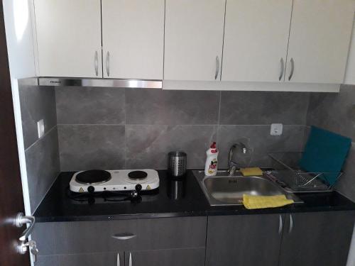 Apartment Niko Lukaj