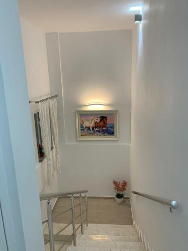 Hostal Villa Orkidea