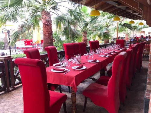 Hotel Palmanova Resort