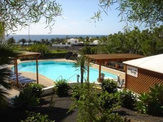 Apartamentos Camel Spring