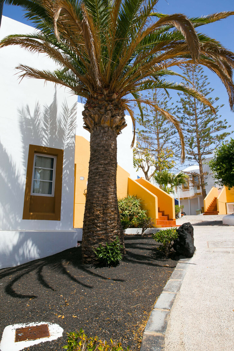 Apartamentos Livvo Morromar