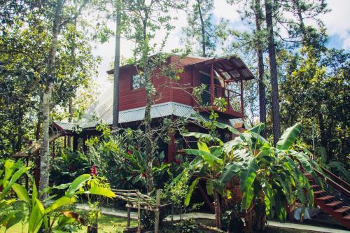 K?ne Villas - Mountain Pine Ridge