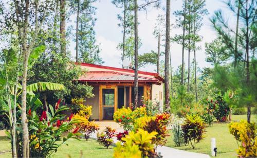K?ne Villas - Mountain Pine Ridge