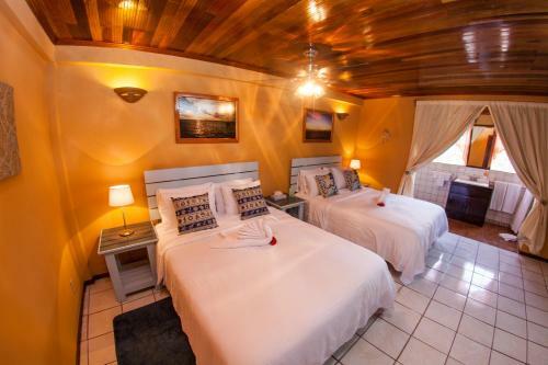 Hotel Hummingbird Suites
