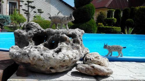 Apartamento Dom Krus