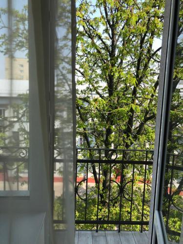 Apartamento ????-????? ??????