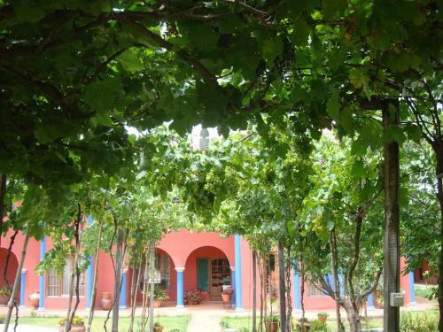 Hotel San Javier