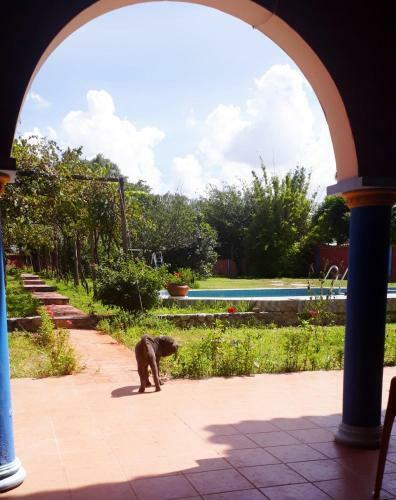 Hotel San Javier