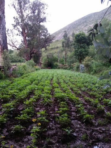 Bed & Breakfast El Molino