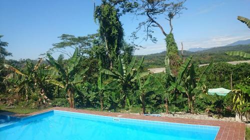 Hotel Puerto Selva
