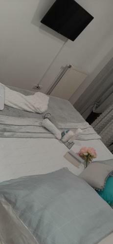 Apartman Apolon