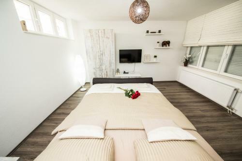 Studio Apartman Centar