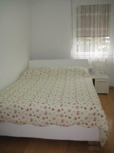 Apartment Ma