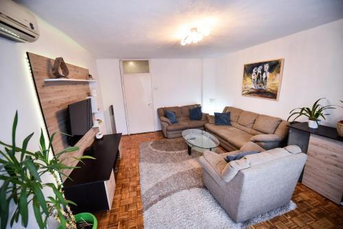 Apartman 49